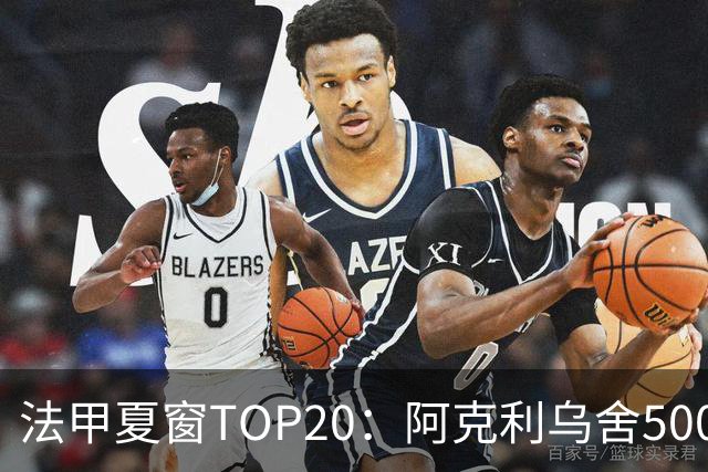 法甲夏窗TOP20：阿克利乌舍5000万欧成标王，费兰4850万欧第二